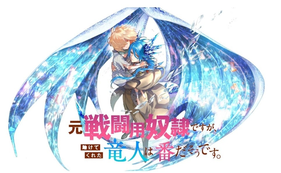 「元戦闘用奴隷ですが、助けてくれた竜人は番だそうです。」ビジュアル
