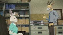 「BEASTARS FINAL SEASON」 Part2の場面カット (c)板垣巴留（秋田書店）／ 東宝
