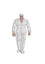 砕涛華虎（CV：楠大典）