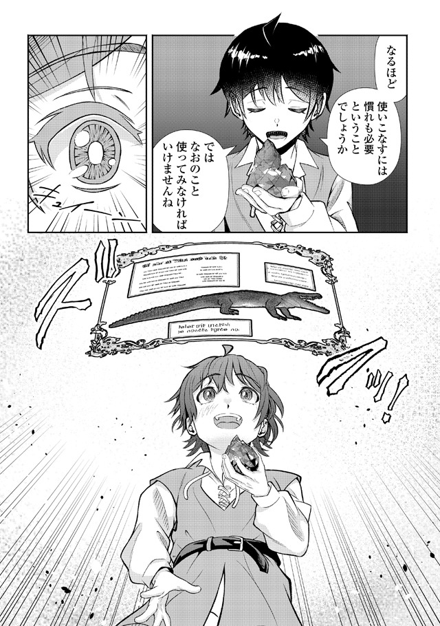 「ファンタジーは知らないけれど、何やら規格外みたいです」より