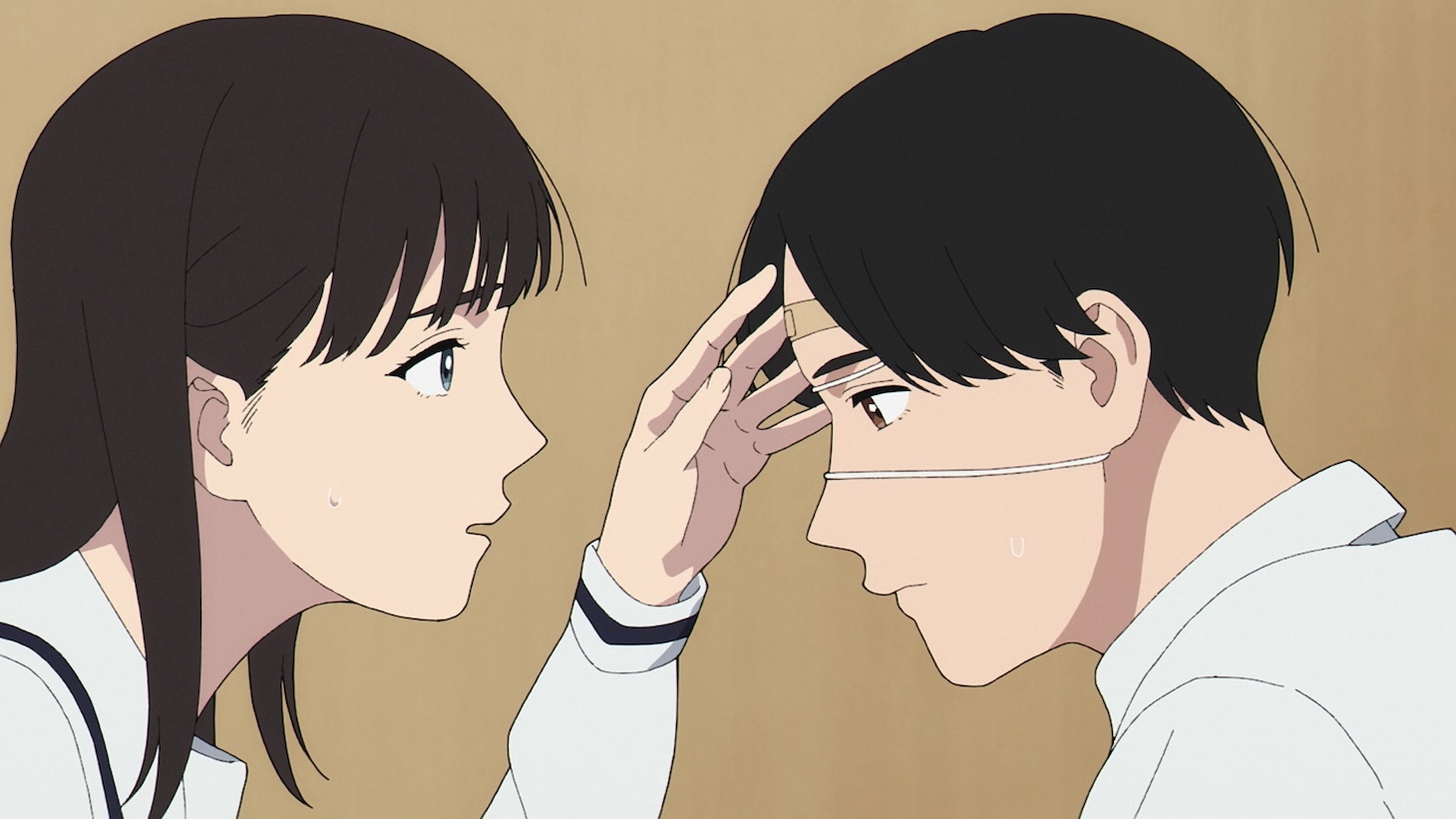 TVアニメ「矢野くんの普通の日々」PV第2弾の場面カット (c)田村結衣・講談社／「矢野くんの普通の日々」製作委員会