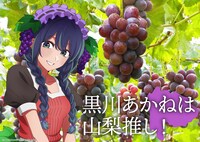 「日本全国project【47都道府県の子】」山梨のイラスト