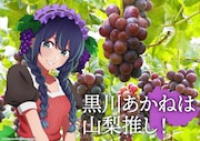 「日本全国project【47都道府県の子】」山梨のイラスト