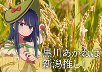「日本全国project【47都道府県の子】」新潟のイラスト
