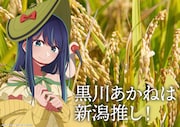 「日本全国project【47都道府県の子】」新潟のイラスト