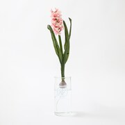 「育ててヒヤシンス!!! 『日常』の花瓶」使用イメージ