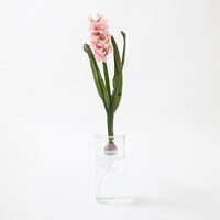 「育ててヒヤシンス!!! 『日常』の花瓶」使用イメージ