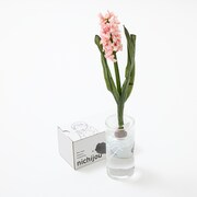 「育ててヒヤシンス!!! 『日常』の花瓶」使用イメージ