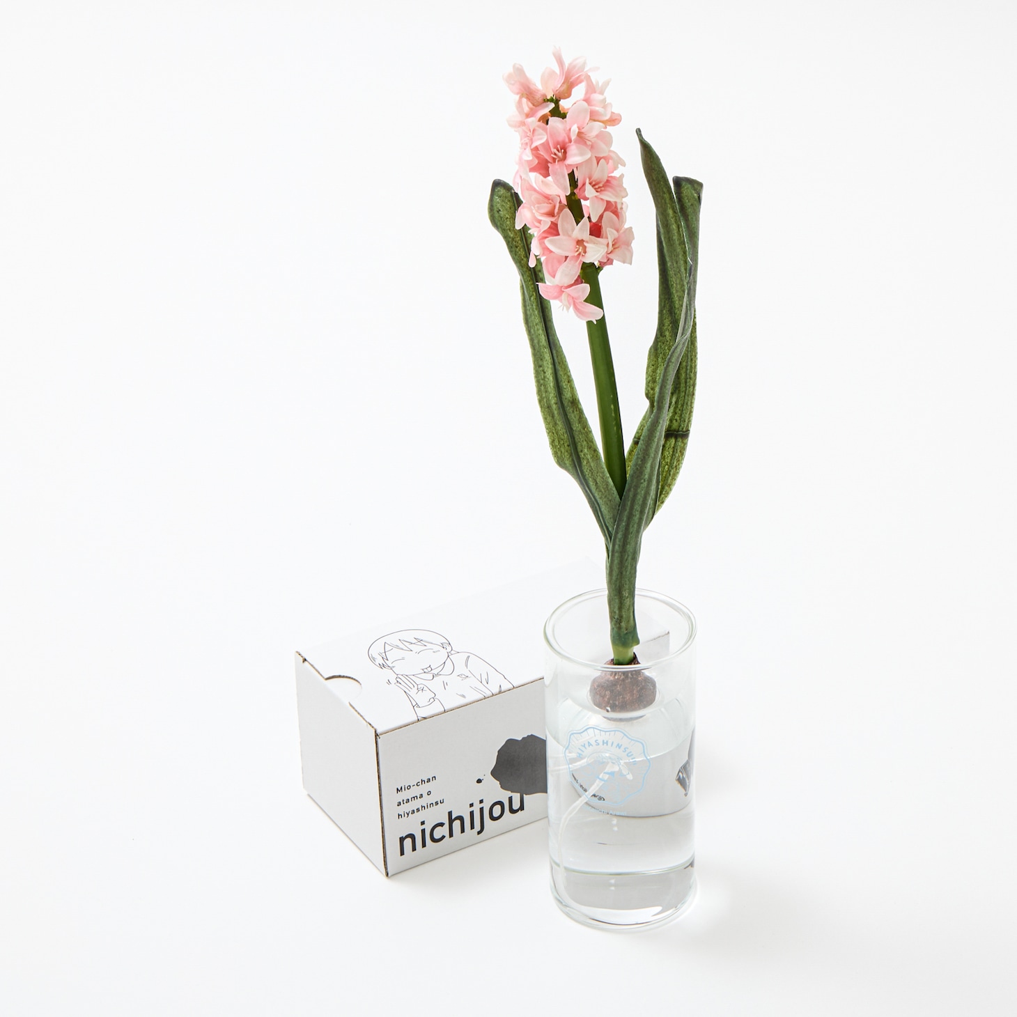 「育ててヒヤシンス!!! 『日常』の花瓶」使用イメージ
