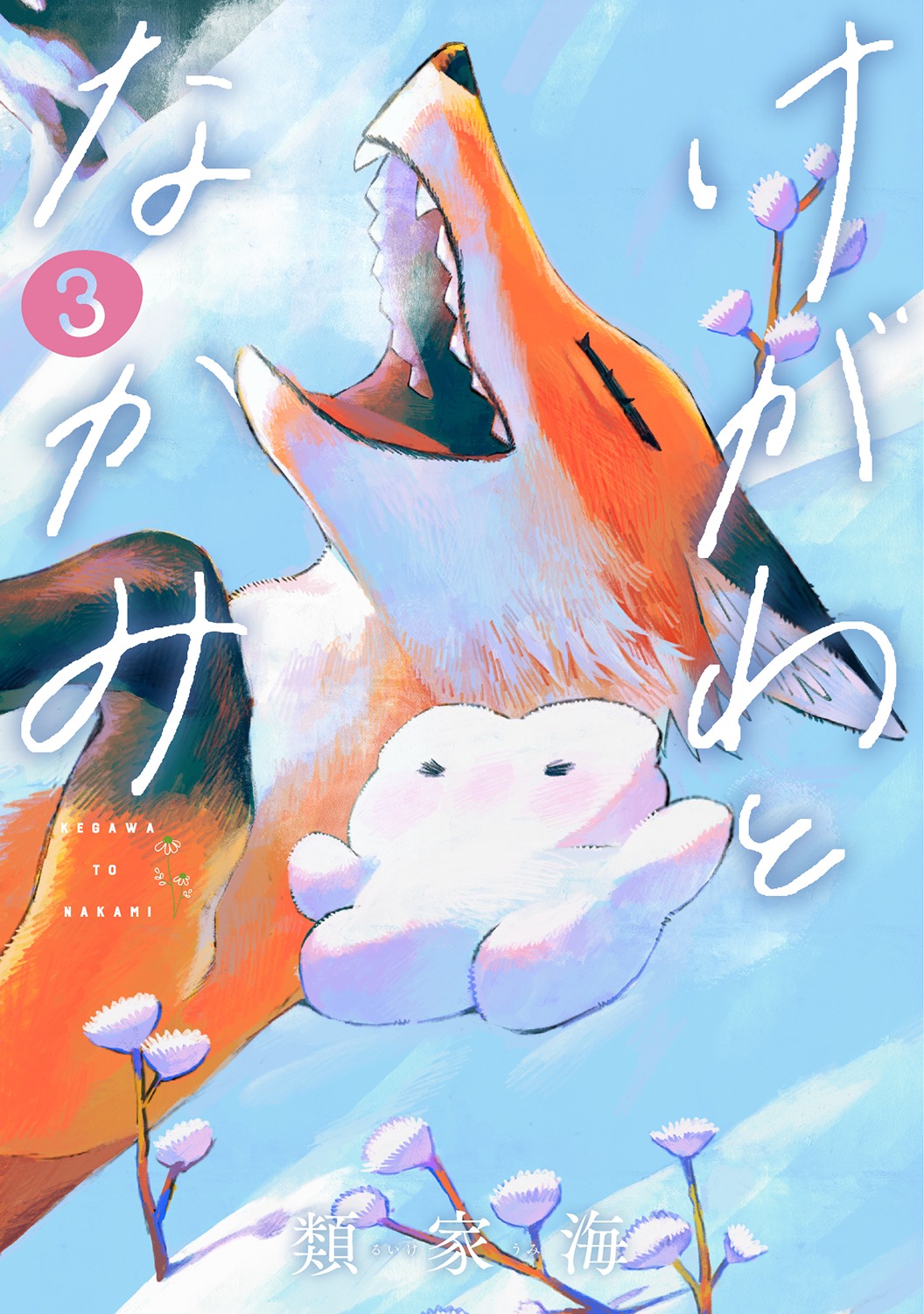 「けがわとなかみ」3巻