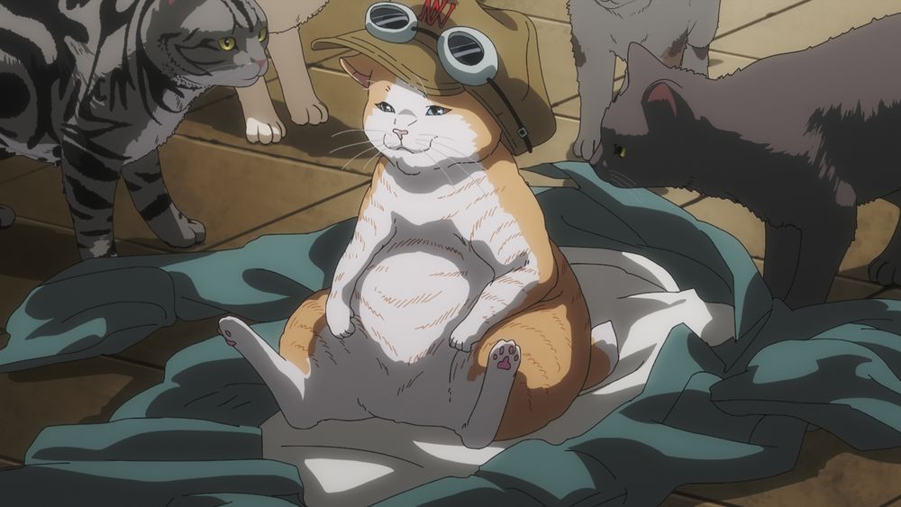 TVアニメ「ニャイト・オブ・ザ・リビングキャット」第12話の場面カット