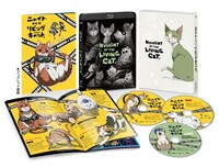 「ニャイト・オブ・ザ・リビングキャット」Blu-ray BOXの展開図