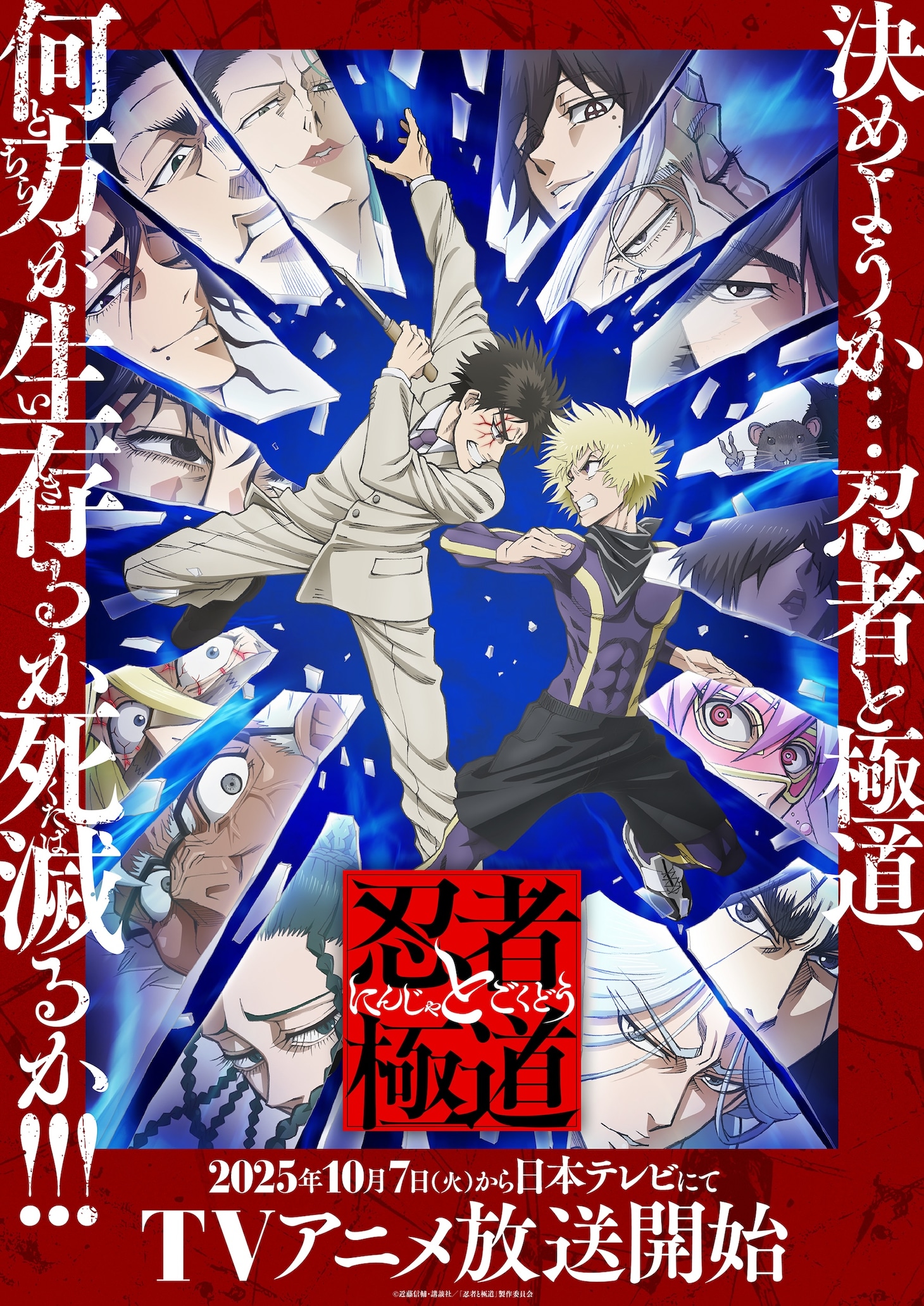 TVアニメ「忍者と極道」キービジュアル第2弾