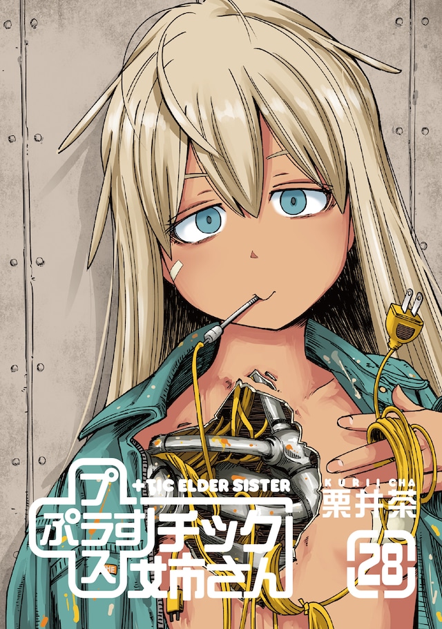 「+チック姉さん」28巻