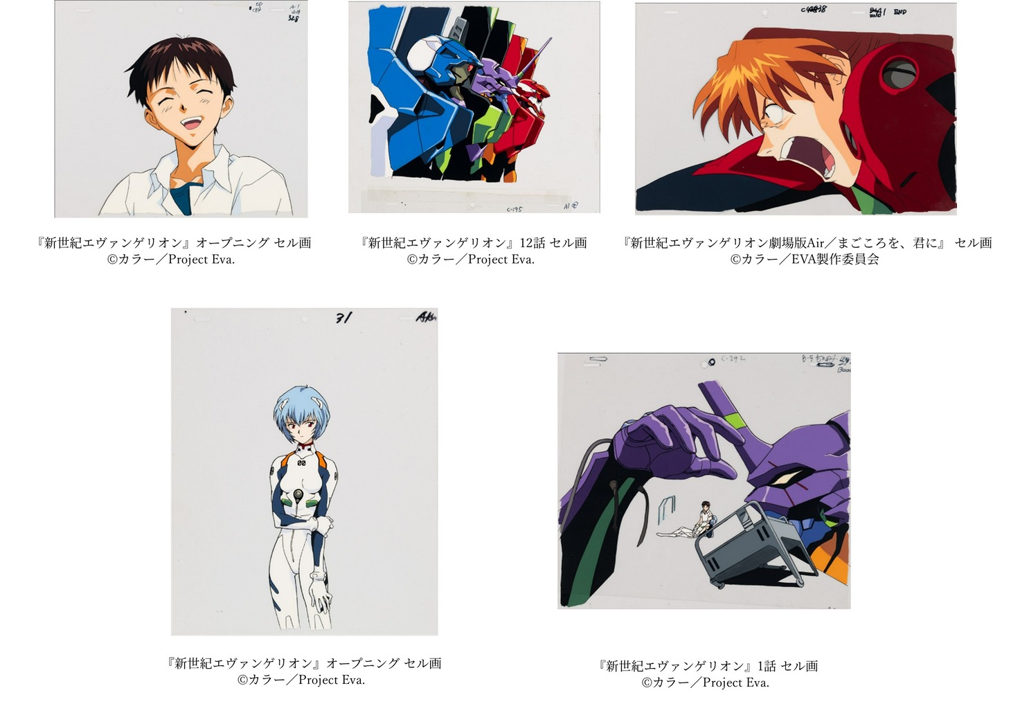 「30周年記念展『ALL OF EVANGELION』」より、「新世紀エヴァンゲリオン」のセル画