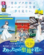 「るるぶ 青春ブタ野郎はバニーガール先輩の夢を見ない」表紙