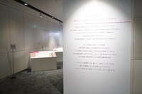 「ベツコミ55th ANNIV. BEYOND THE PAGE 好き、のつづき。」の展示の様子