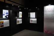 「ベツコミ55th ANNIV. BEYOND THE PAGE 好き、のつづき。」の展示の様子