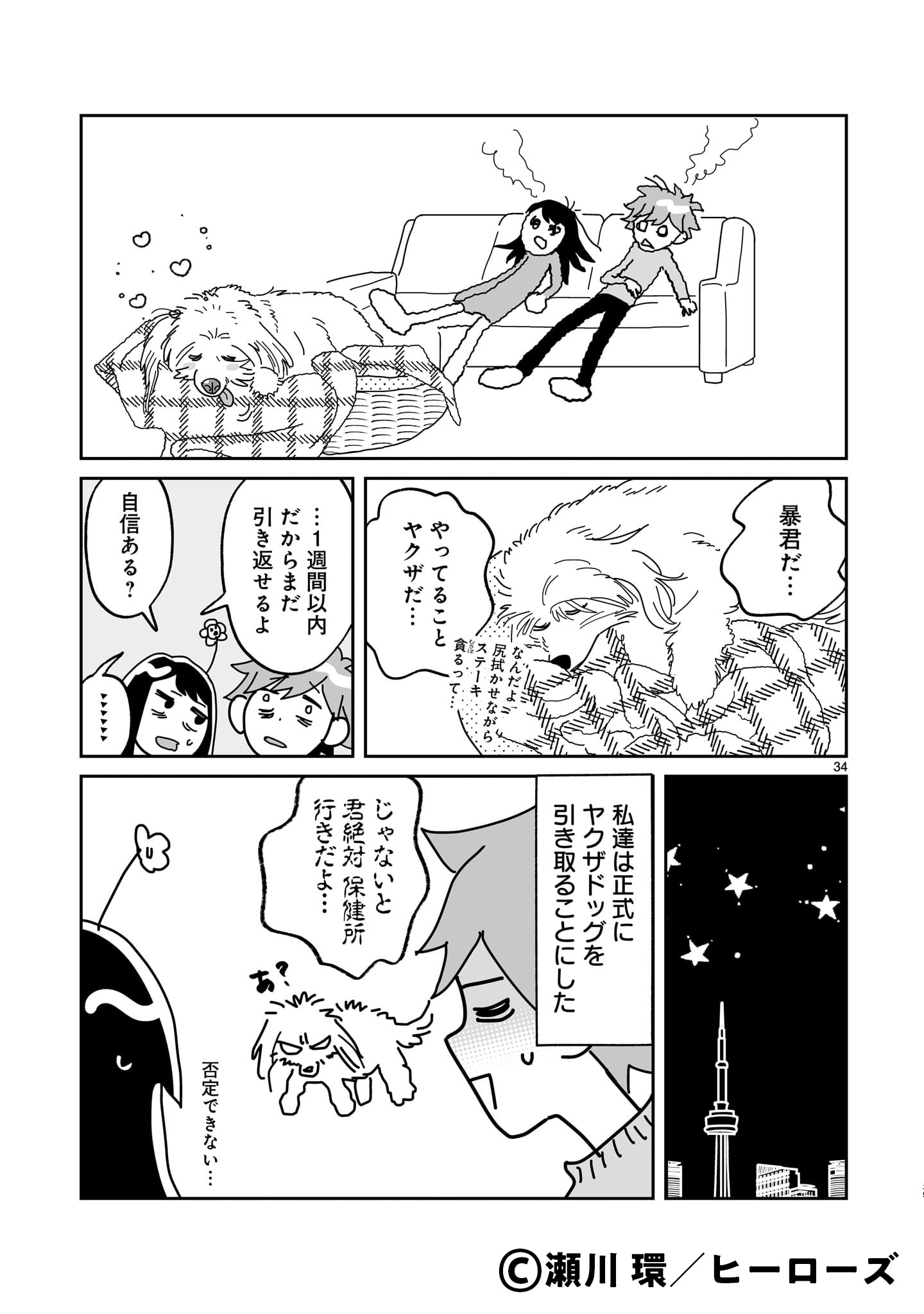 天使のようにかわいいが暴君！老犬を迎え入れた2人のエッセイ「彼の名はマックス」