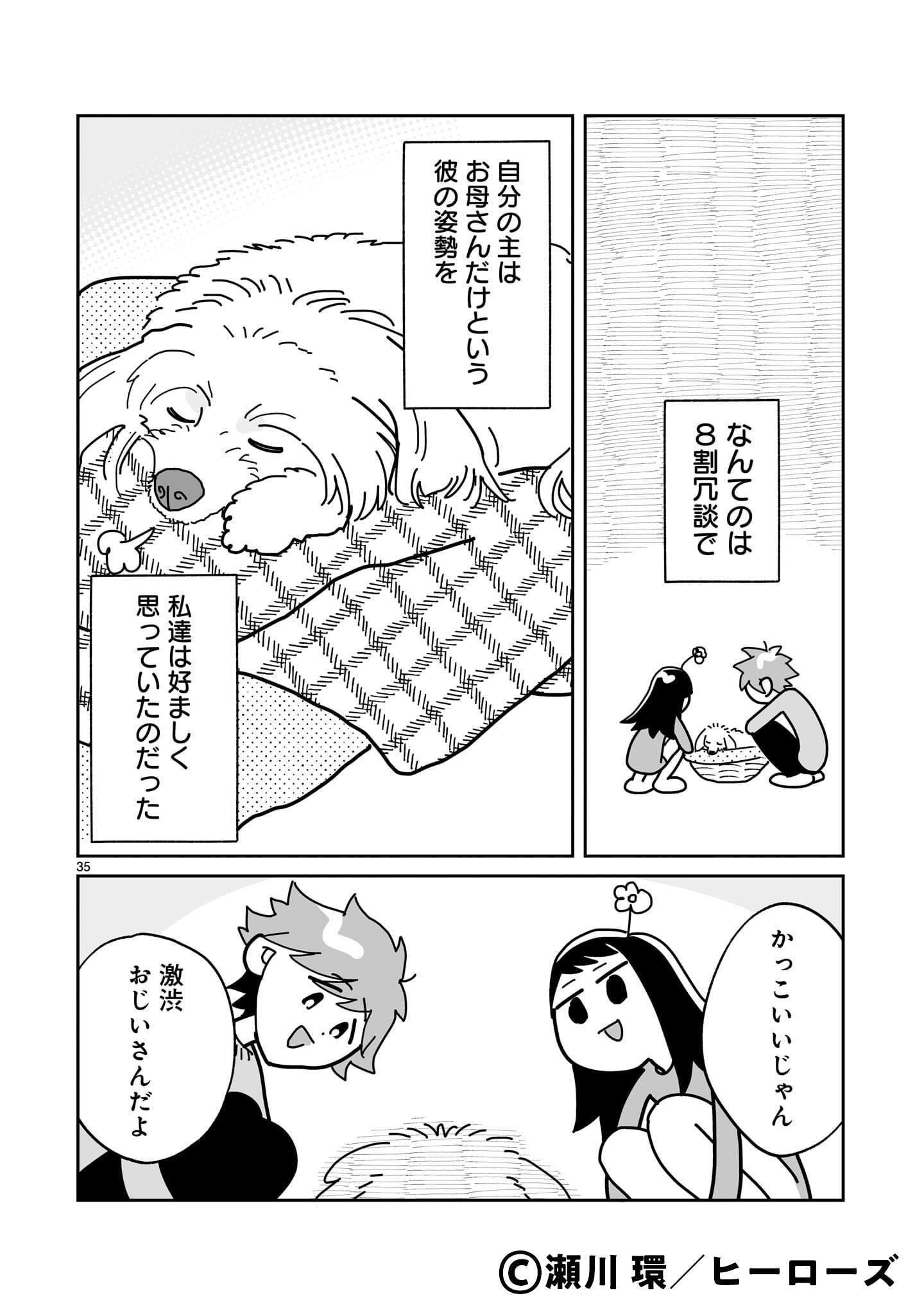 天使のようにかわいいが暴君！老犬を迎え入れた2人のエッセイ「彼の名はマックス」