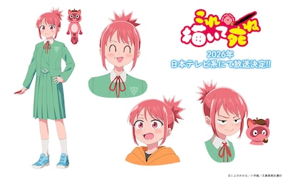 安海相の設定画