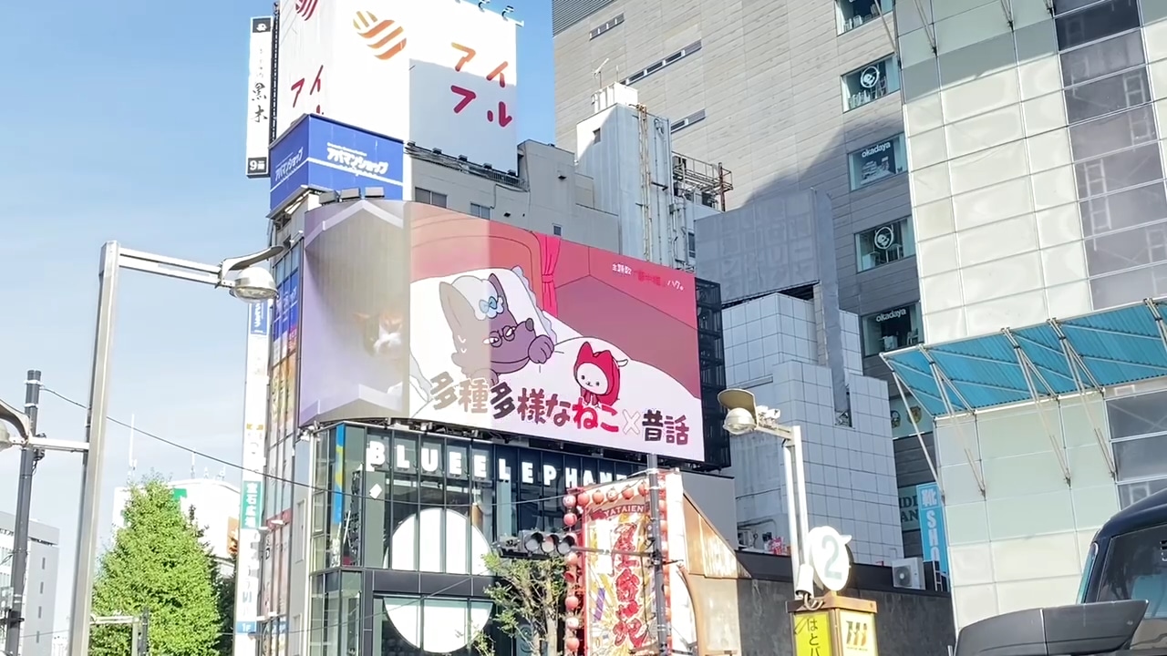 クロス新宿ビジョンに掲出される「うごく！ねこむかしばなし」の広告映像