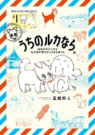 世界を旅する流浪のマンガ家が愛犬と各国で出会った犬を描く「うちのルカなら。」1巻