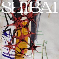 「SUGAR」を収録した龍宮城の「SHIBAI」ジャケット