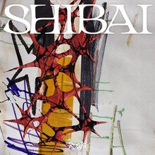「SUGAR」を収録した龍宮城の「SHIBAI」ジャケット