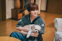 ドラマ「セラピーゲーム」場面写真