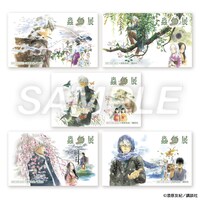 購入特典の抽選会でもらえる「B賞：オリジナルクリアカード」