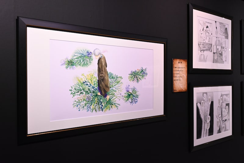 「蟲師展」の様子