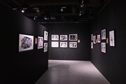 「蟲師展」の様子