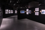 「蟲師展」の様子