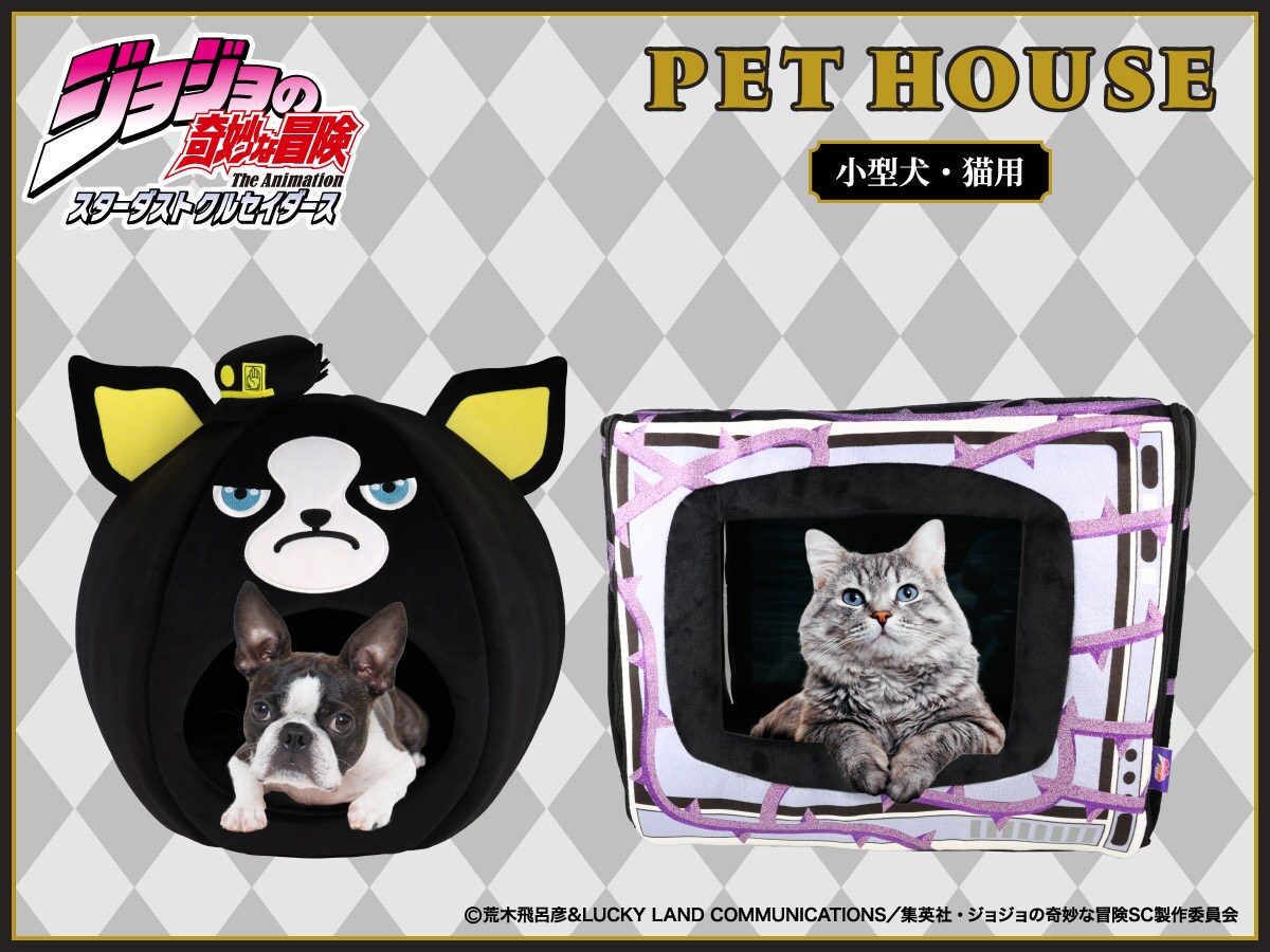 jojo_pet_main.jpg?impolicy=