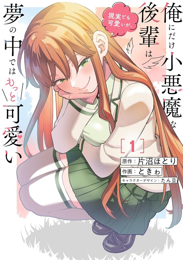 「俺にだけ小悪魔な後輩は現実でも可愛いが、夢の中ではもっと可愛い」1巻