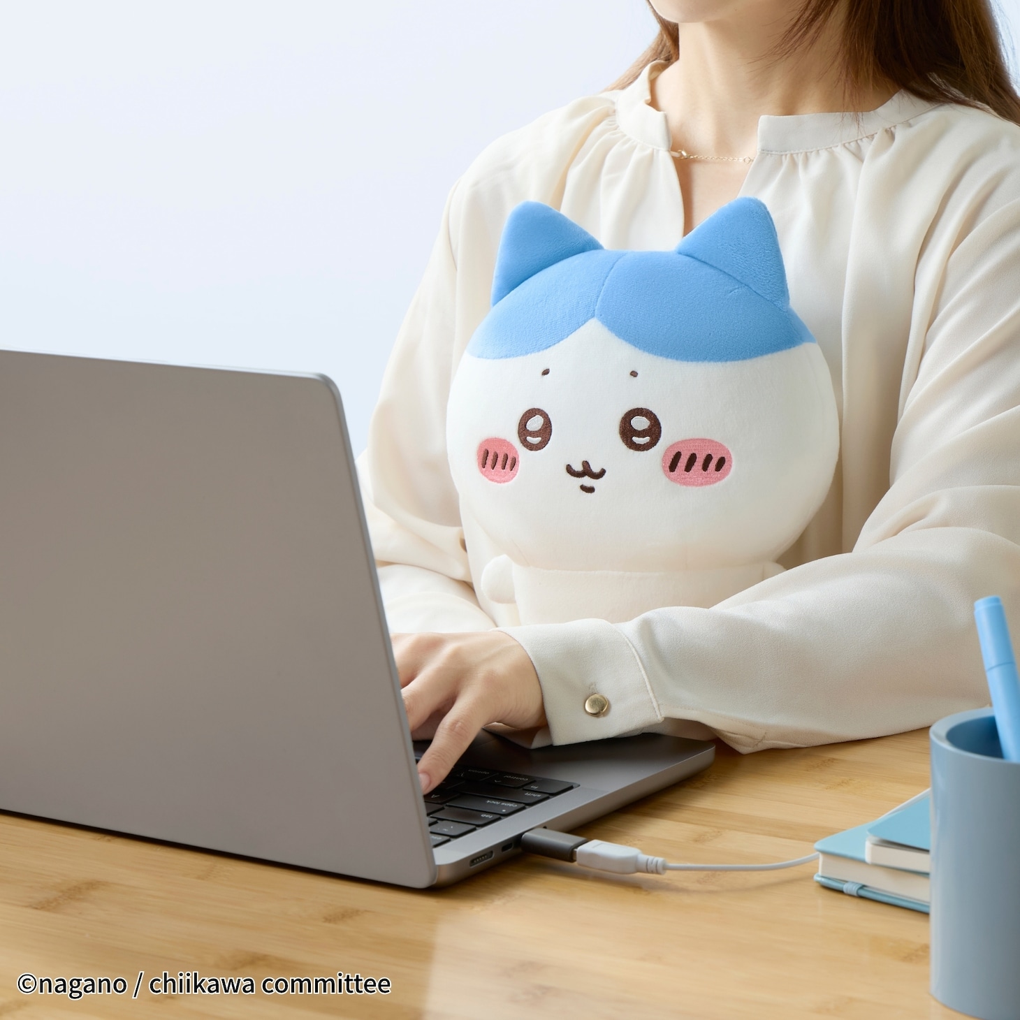 「あったかぬいぐるみ ハチワレ」