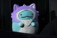 会場のすみっこから登場するとかげ