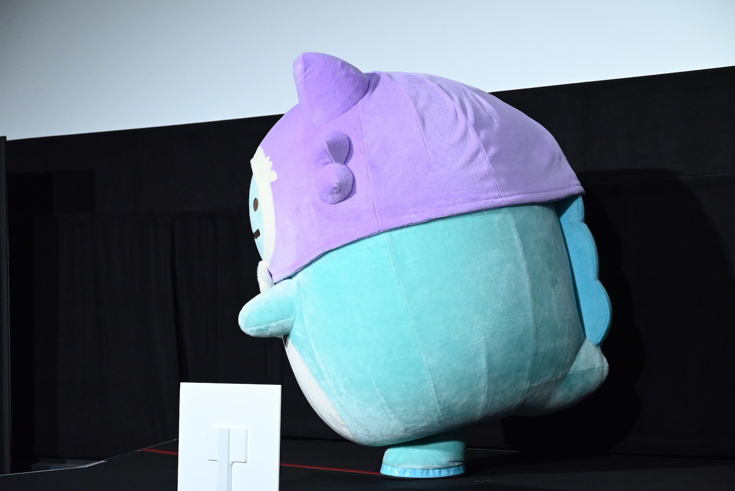 MCの話をしっかりと聞くとかげ