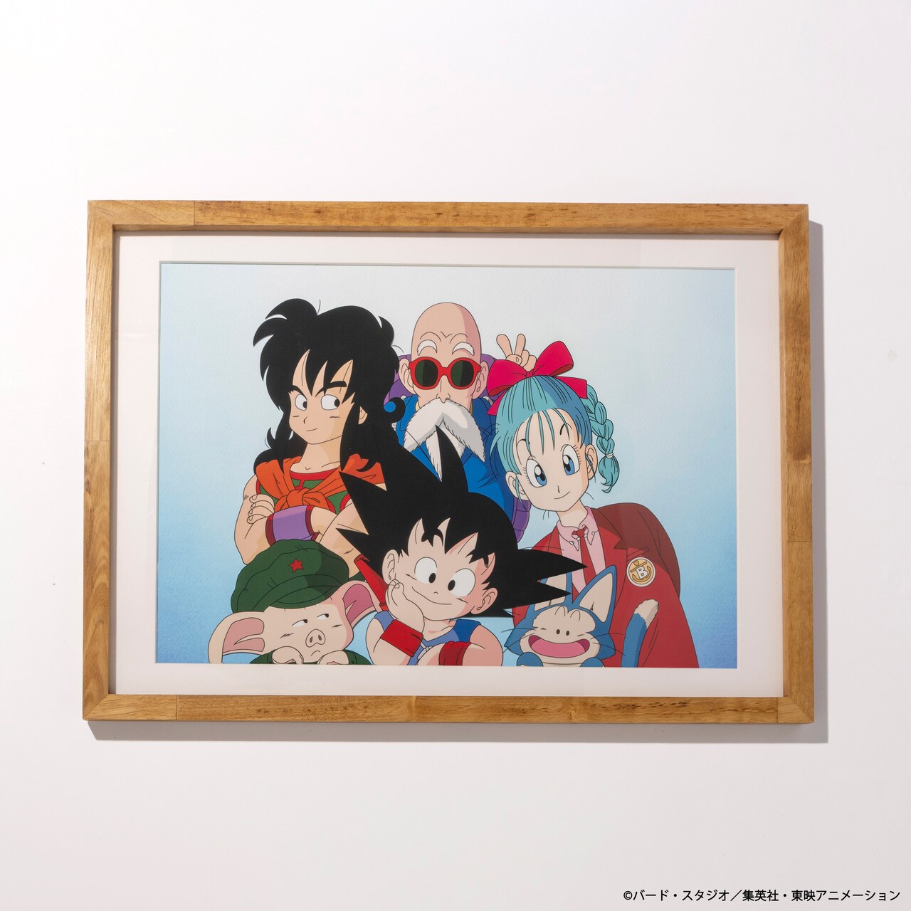 dragonballstore_goods_00003.
