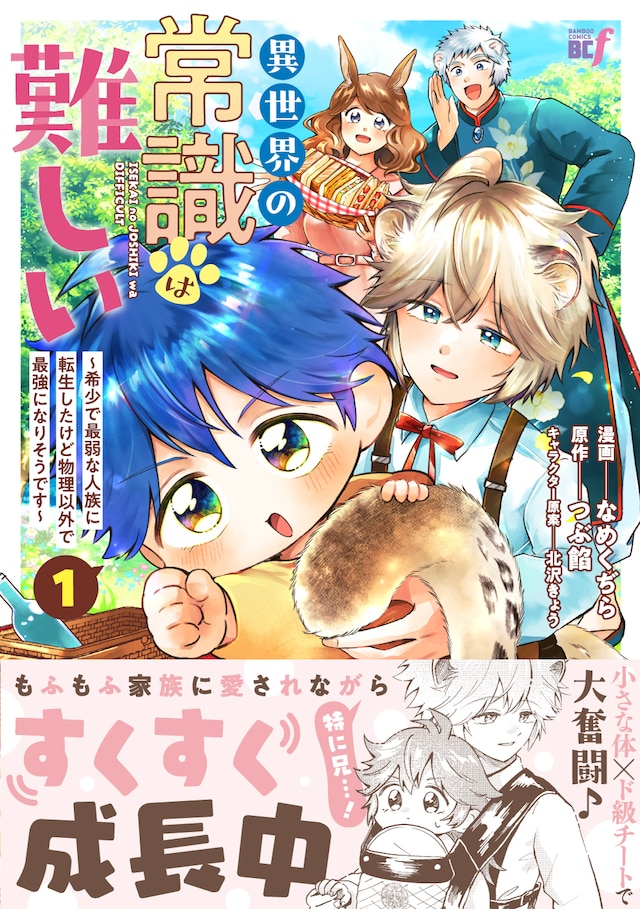 「異世界の常識は難しい～希少で最弱な人族に転生したけど物理以外で最強になりそうです～」1巻（帯付き）