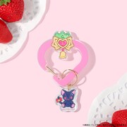 「ストロベルベルカラビナ」