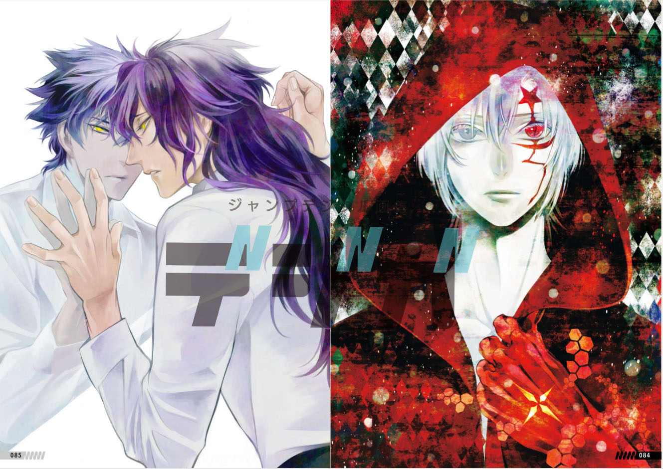 「『ジャンプデジタル画集 デジガ D.Gray-man」 中面 （c）星野桂／集英社