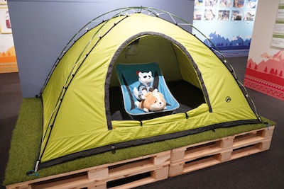 展示されているキャンプ道具