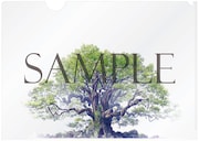 「クスノキの番人　Original Soundtrack」購入特典のクリアファイル