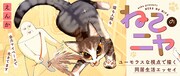 「ねこのニヤ」バナー画像