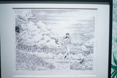 展示されている原画