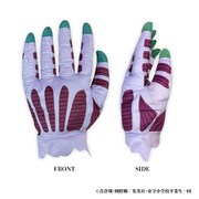 「地獄先生ぬ～べ～ 鬼の手BIGぬいぐるみ」