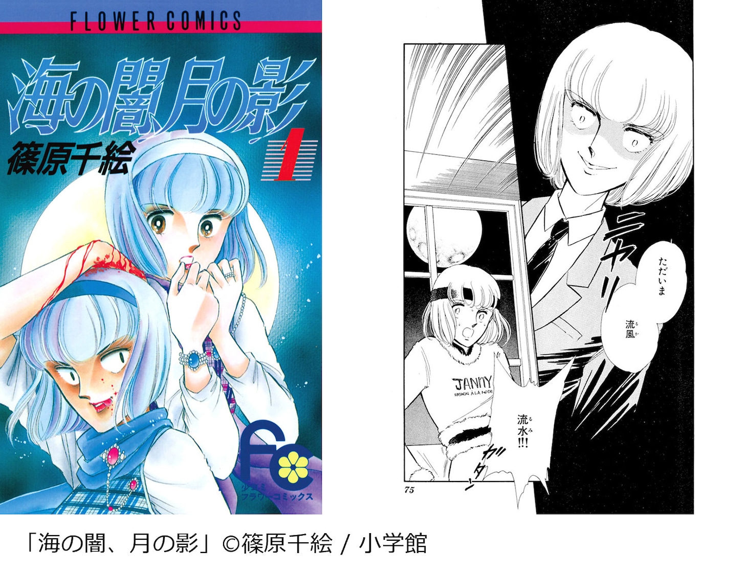 「海の闇、月の影」