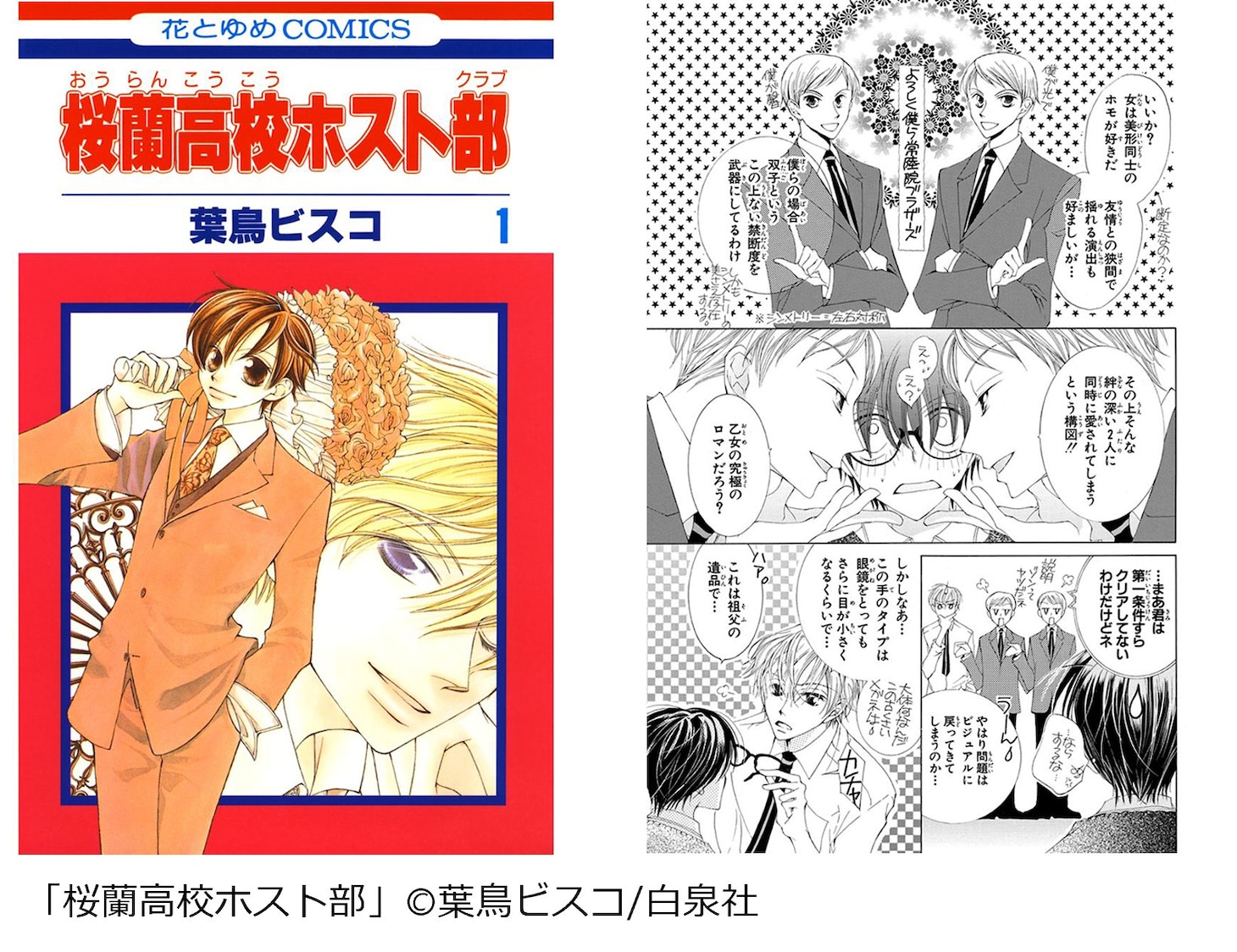 「桜蘭高校ホスト部」